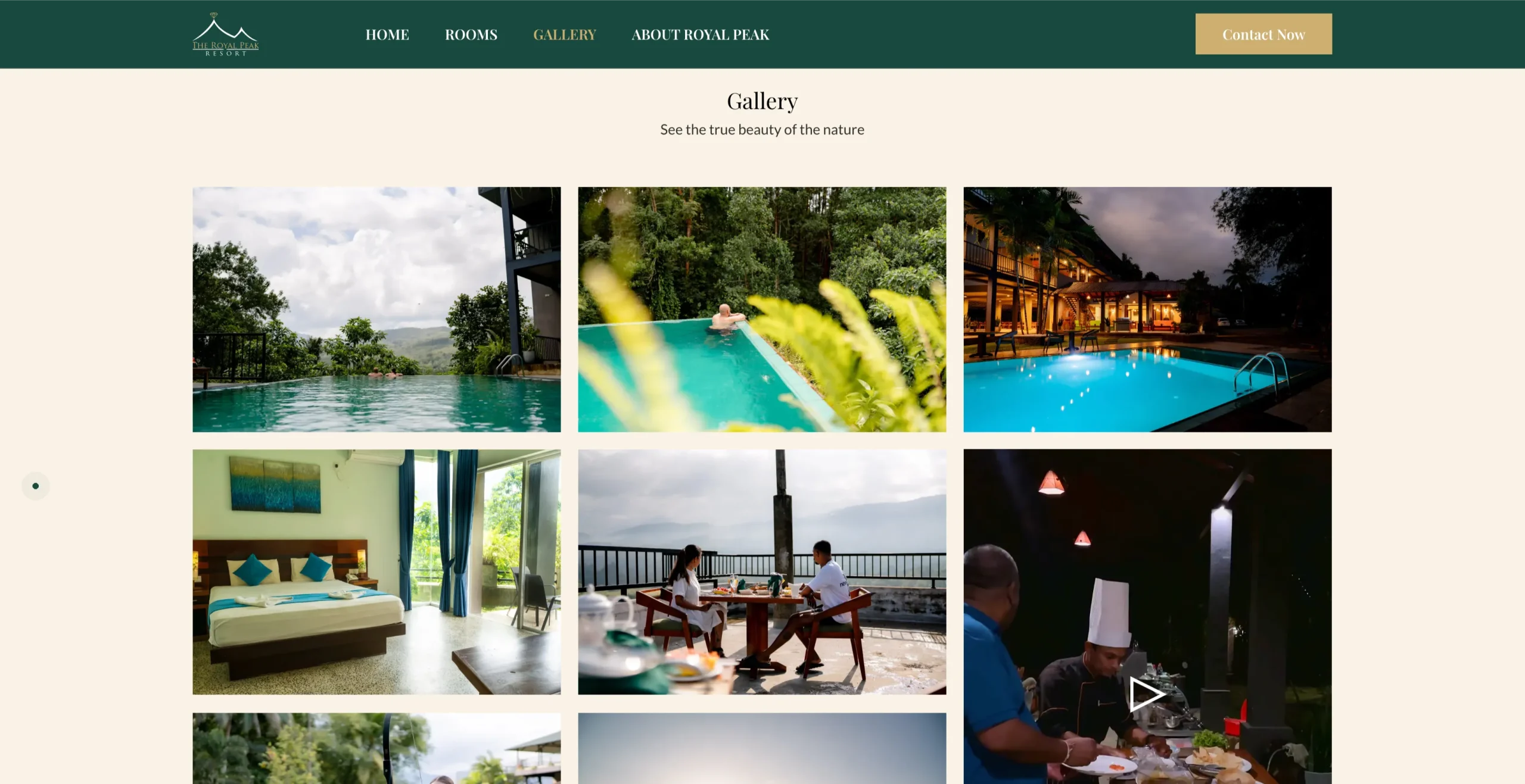 royal-peak-resort-web development-2