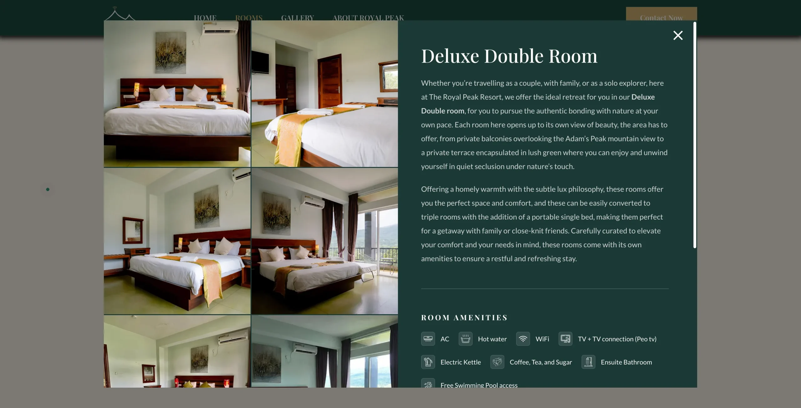 royal-peak-resort-web development-1